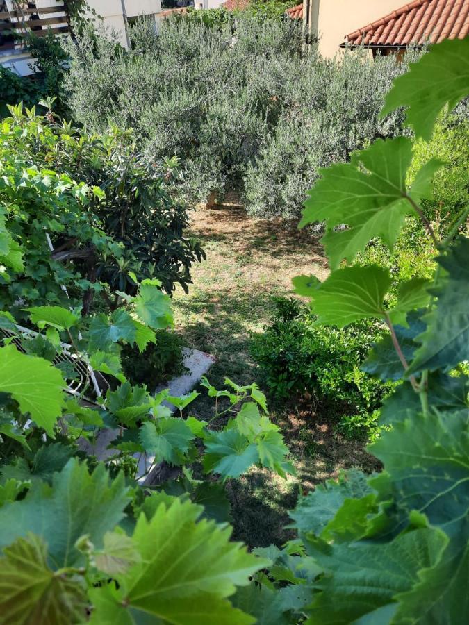 Apartmani Gracela Vodice Bagian luar foto
