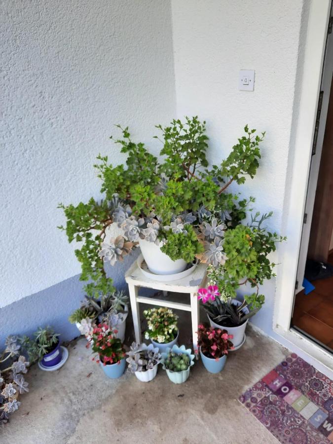 Apartmani Gracela Vodice Bagian luar foto